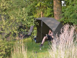 Competities HSV Alfheim